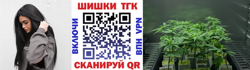 Купить Крым Каннабис OG Kush